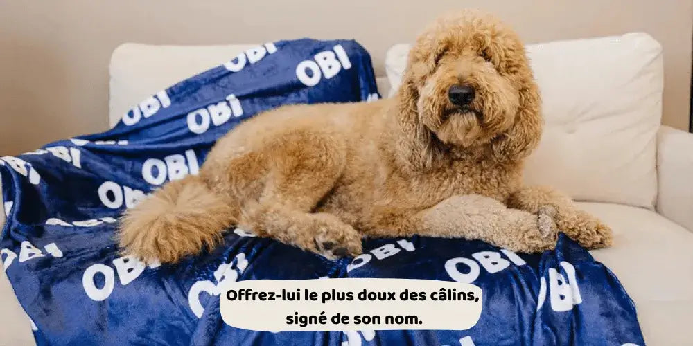 Un chien allongé sur un plaid personnalisé bleu avec son nom obi