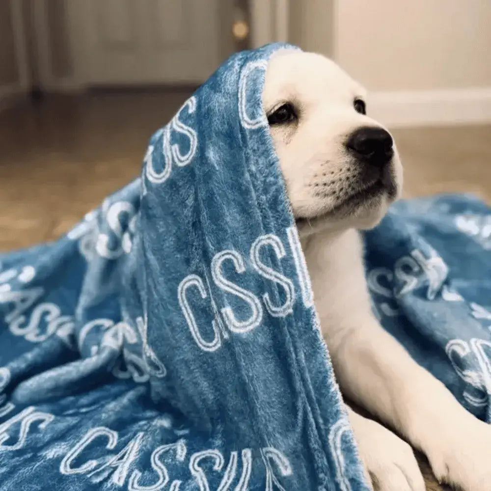 Un chiot blanc allongé sur le sol, enveloppé dans une couverture bleue avec des inscriptions blanches